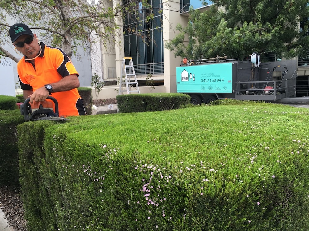 lawn-mowing-mulgrave
